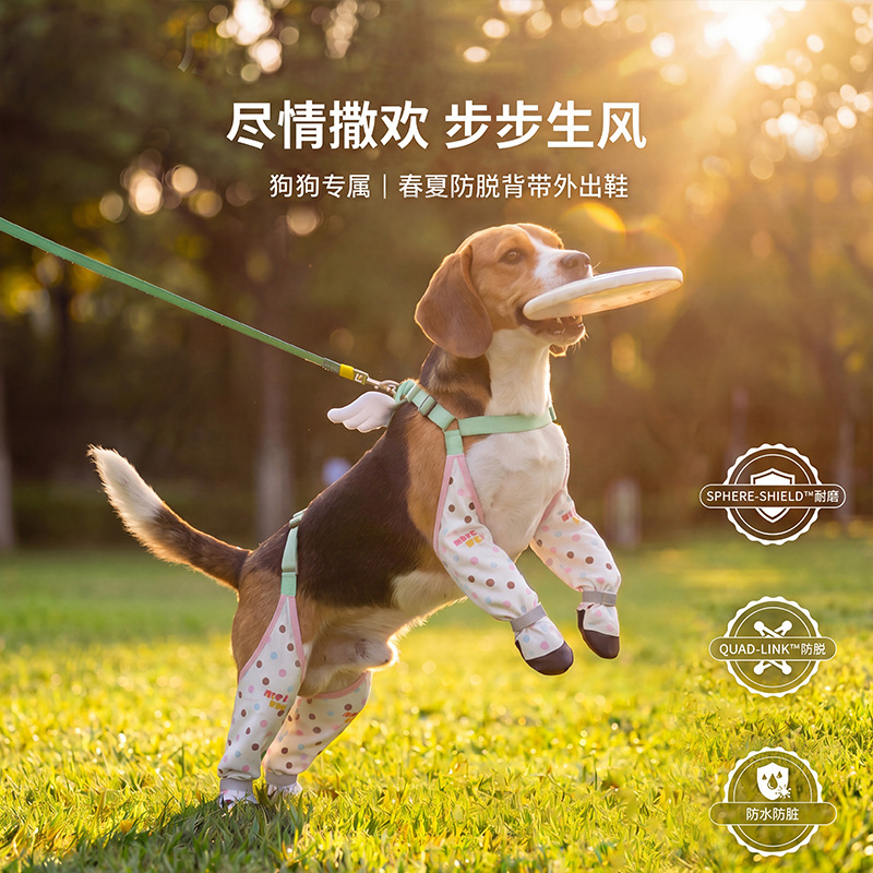Primavera y verano, cinturón de cuatro patas, zapatos para perros pequeños y medianos, resistentes al desgaste, antideslizantes, no fáciles de caer, mascotas de cuatro patas.
