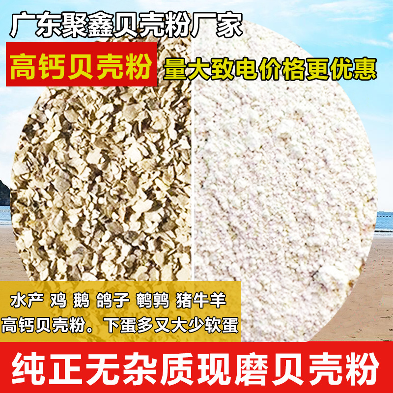 果树肥料水产贝壳粉牡蛎壳粉生蚝壳粉贝壳颗粒干净无杂质污水处理