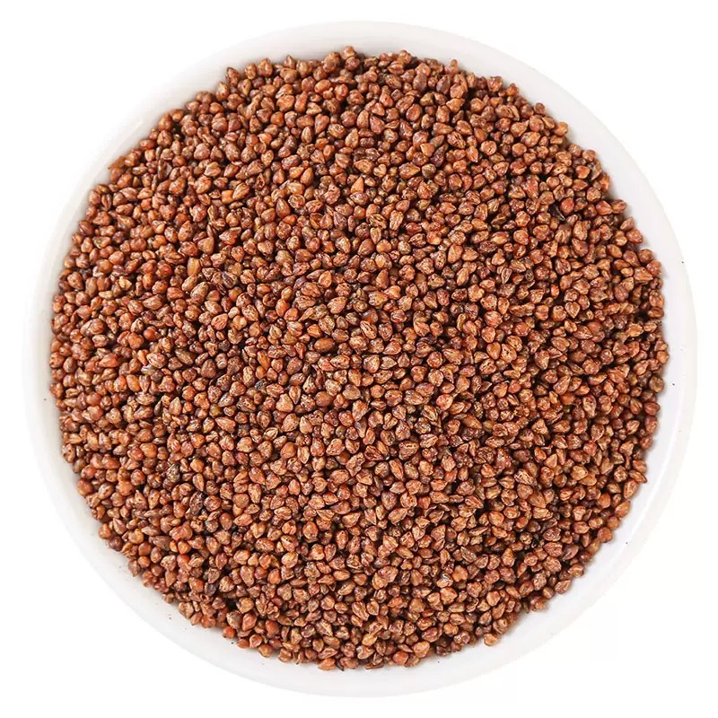 Black Tartary Buckwheat Tea 500g Canister Roasted Ku Qiao Cha Loose Herbal Tea for Daily Brewing in use