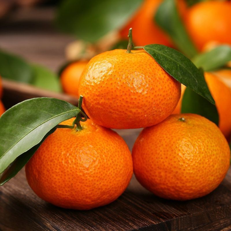 广西金秋沙糖桔水果薄皮桔子砂糖橘新鲜甜柑橘砂糖桔工厂一件批发