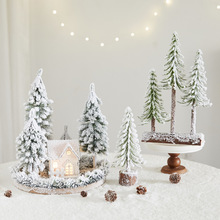 �}�Q���b���ƷPEֲ�q�����hѩ�}�Q���̈������������Ô[�����B��