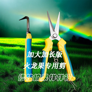 Factory Direct Sales Spot Wholesale Multifunctional Stainless Steel Elbow Straight Dragon Fruit Shears Pruning Branches Fruit Picking Shears