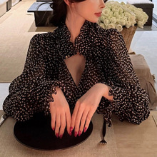 ��������" ��ɫChl0*e�L���c�nŮ�L������