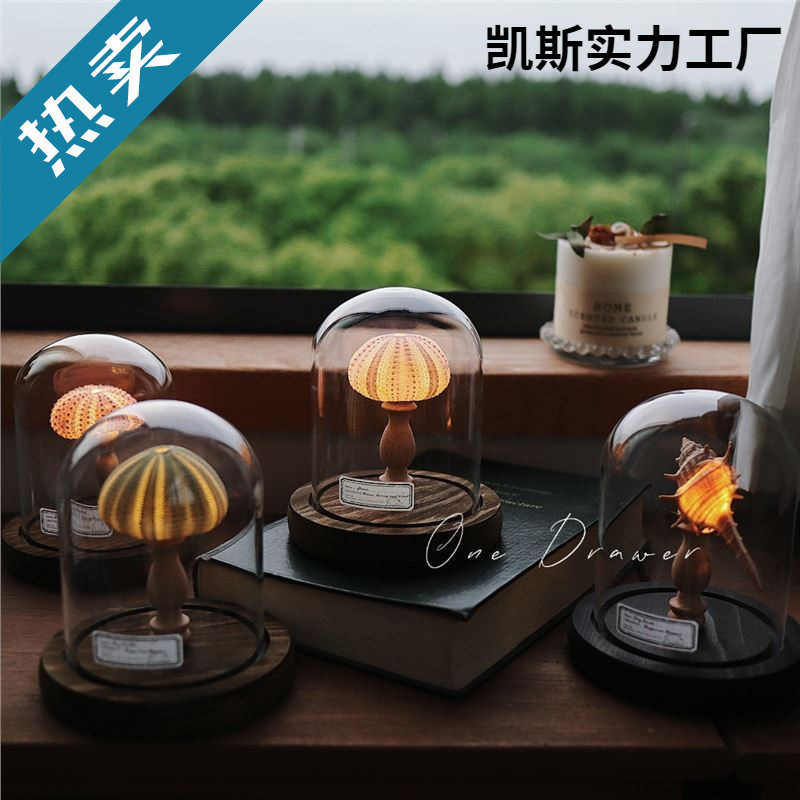 Ocean Island Retro Shell, Sea Urchin, Conch Lamp, Night Light Ornament, Handmade Materials Wholesale, Button Type Ocean Island Retro Shell, Sea Urchin, Conch Lamp, Night Light Ornament, Handmade Materials Wholesale, Button Type