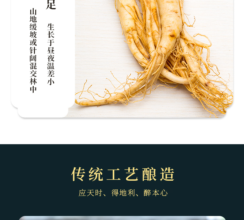 37de8a441a2c5fa0bc7dffbd1b4b2d