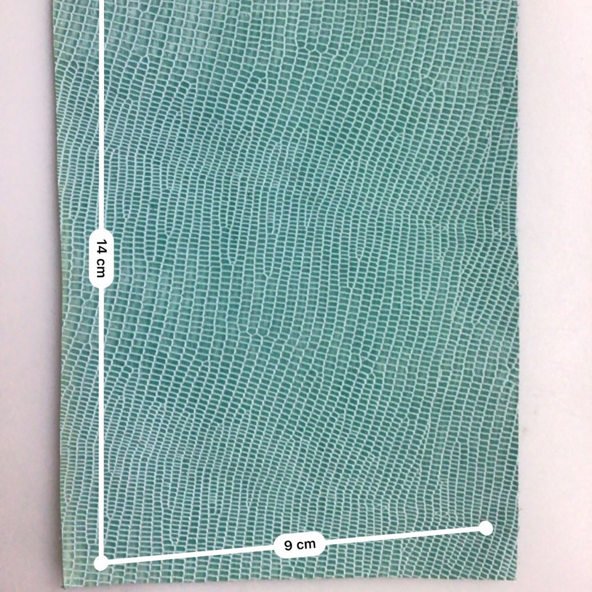 小牛胎牛牛皮 真皮 蜥蜴纹水染双色整张牛皮 适用箱包鞋靴面料