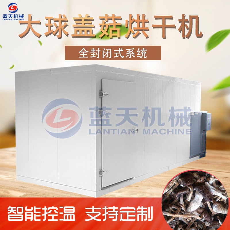 大球盖菇烘干机 空气能大球盖菇干片烘干机 菌菇皱球盖菇烘干设备