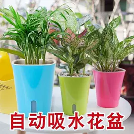 花盆容器;湿巾纸;喂养餐具