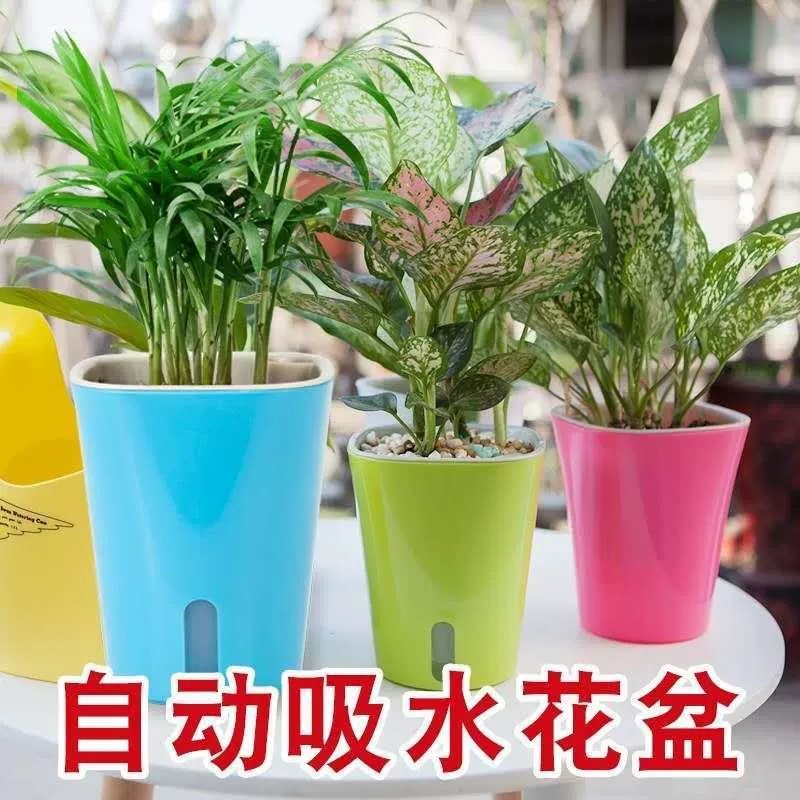 糖果色塑料懒人花盆可视水位吸水盆绿萝绿植花盆懒人吸水花盆