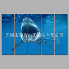 亚马逊四联五联无框帆布画芯装饰画艺术墙客厅酒吧挂画海底白鲨