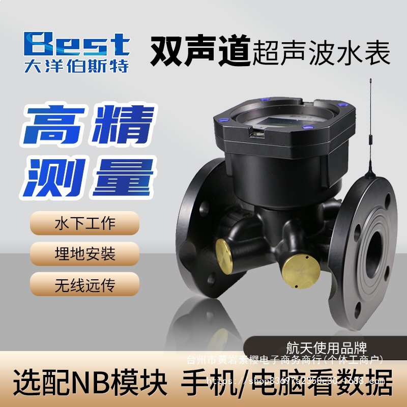超声波水表智能双声道远传自来水家用冷热水液体dn法兰流量垒德株