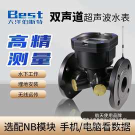 超声波水表智能双声道远传自来水家用冷热水液体dn法兰流量垒德株
