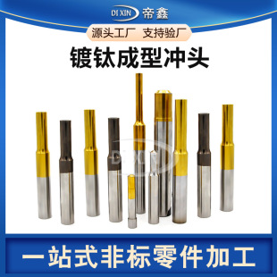 Stainless Steel Special-Shaped Punching Hexagonal Punching Needle Custom Titanium-Plated A-Type T-Type Forming Punching Oval Punching Fan-Shaped Punching Processing Manufacturer