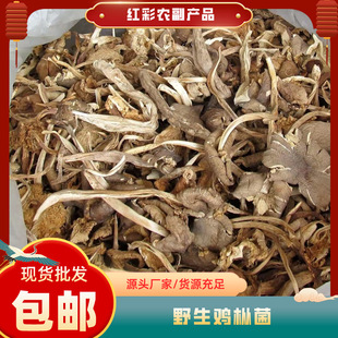 ����خa���u��  �u�v��ʳ��Ұ�������l���|��ԭ������ɽ��ԭ��Ʒ