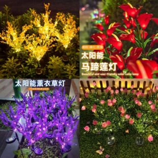 ̫���ͥԺ�����N�����ز�����ͥԺ�����ƺ��·��̫��ܟ����@