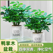 �˷���ؔ���_ľ�ļ������҃��k���҃��̨�Gֲ���ܰlؔ��������