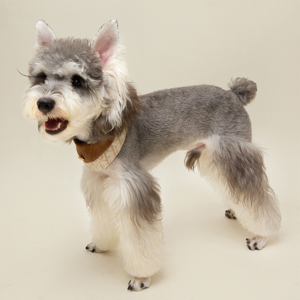 Sir británico toallas de saliva para mascotas ajustables bufandas de cuello bufandas de ropa de mascotas toallas de saliva para perros