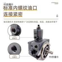 ҫVP-20-FA3 GEYAO ҺVP-30/40 ׃~ƬͱҺ̫