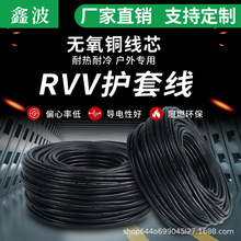 定制國標RVV電源線純銅芯護套線2芯3芯PVC防火阻燃絕緣保護線