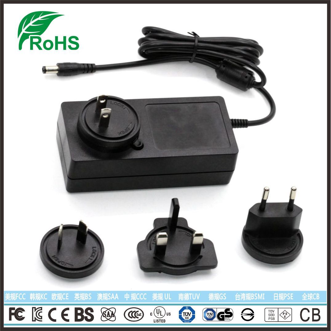 ROHS认证20V3A各国插头可换美容仪安防点烟器48W适配器英规电源