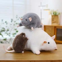 �羳���֦��ë�q��߸�ַ���С������ż��ͯ������������l