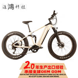 亚马逊爆款越野电动自行车 电动山地车 哈雷车雪地自行车电摩