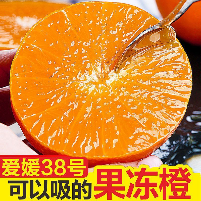 四川爱媛38号果冻橙子应季新鲜孕妇水果甜柑橘桔子可手剥薄皮批发