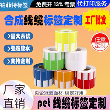 定制线缆通信标签纸 彩色标签pet防水电信机房网络布线70*24mm
