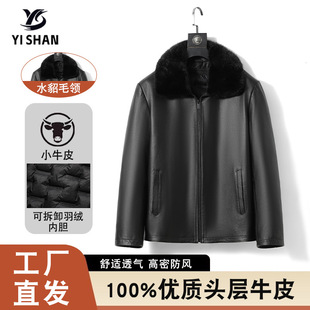 ��ţƤƤ����ţƤ�ɲ�ж��q��đţƤ�A�˼ӽq�Ӻ�ְ��bë�I����