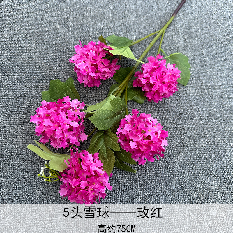 5 Rosas Bola de Nieve, Rojo Rosado