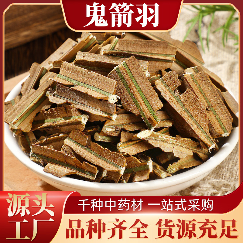 材鬼箭羽 六月凌 卫矛批发 规格齐一站式购全