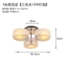 3 head ceiling with light source