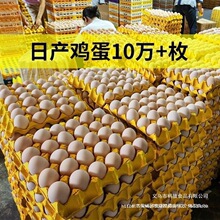 �u�����l���µ�_������30ö�r��ɢ�B�����u�����r�F����l�Ĵ�