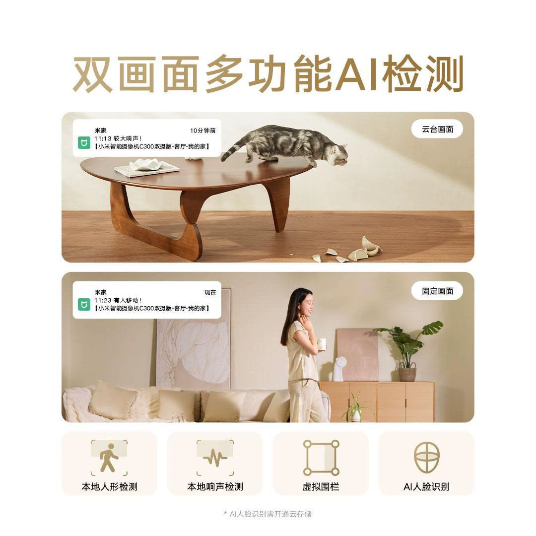 Smart CCTV camera, monitor for home use, mobile phone, videocamera, C300, 300pcs