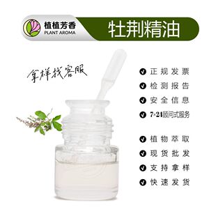 ĵ�G�� ���s��ȡĵ�G�~�� Vitex leaf Oil ĵ�G�η����ͬF؛���l