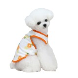 Одежда для собак, летняя новая одежда для собак Тедди, одежда для домашних животных, 21 пятицветный фруктовый жилет, милый тонкий срез