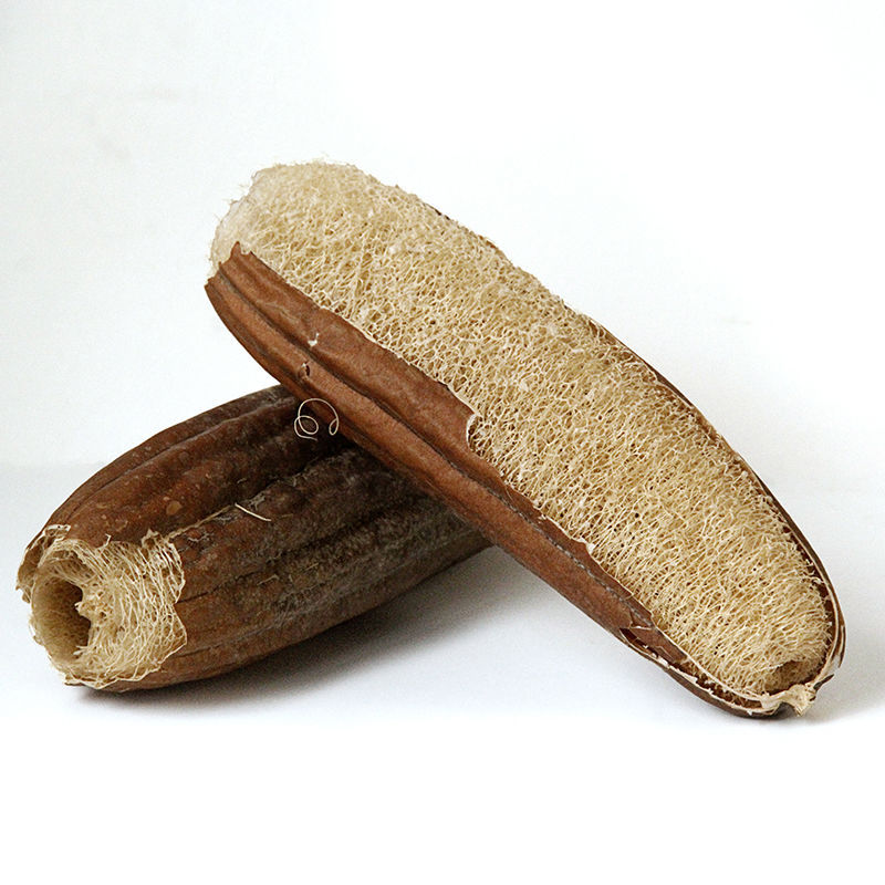 스킨 포함 [전체]