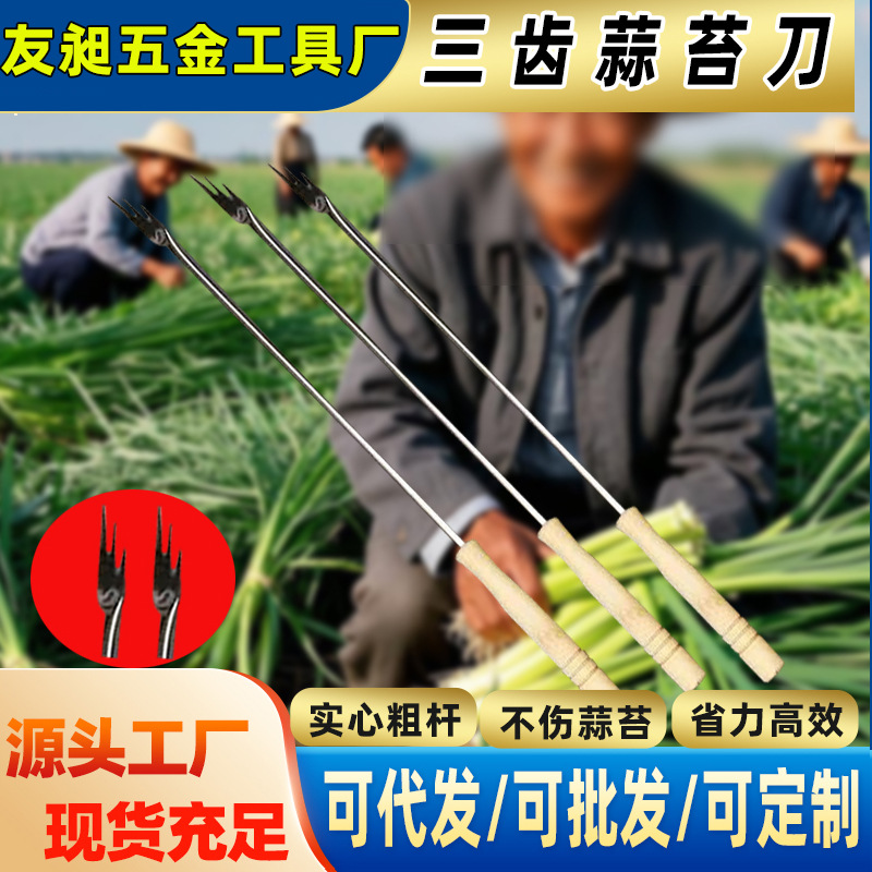 蒜苔收割刀拔蒜苔工具蒜薹刀加长三齿抽蒜苔打蒜苔划剥蒜苔工具