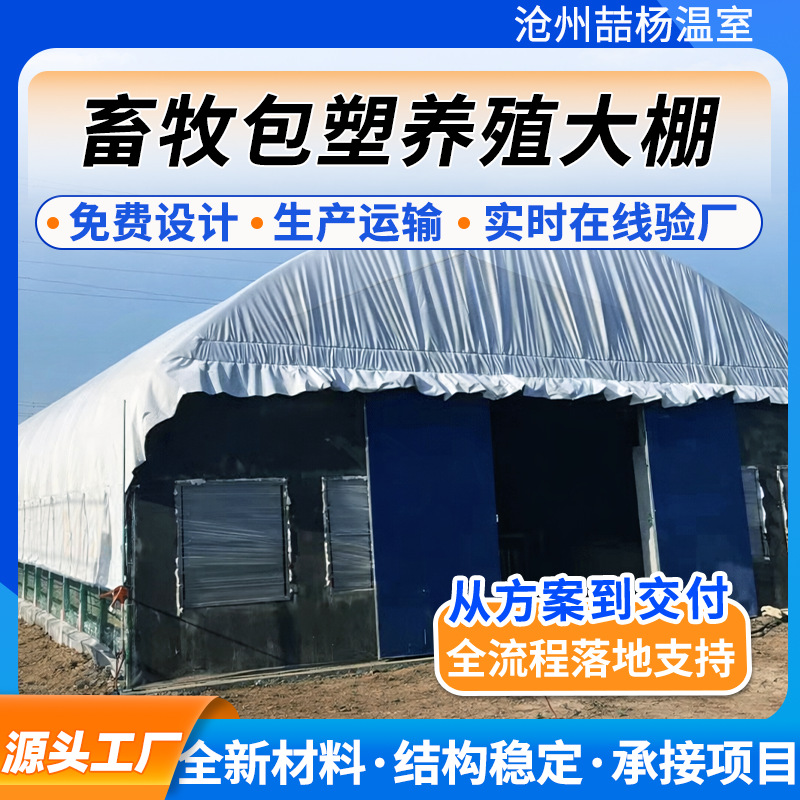 畜牧包塑养殖大棚定制农业养殖大棚设计安装家禽黑白膜包塑管大棚