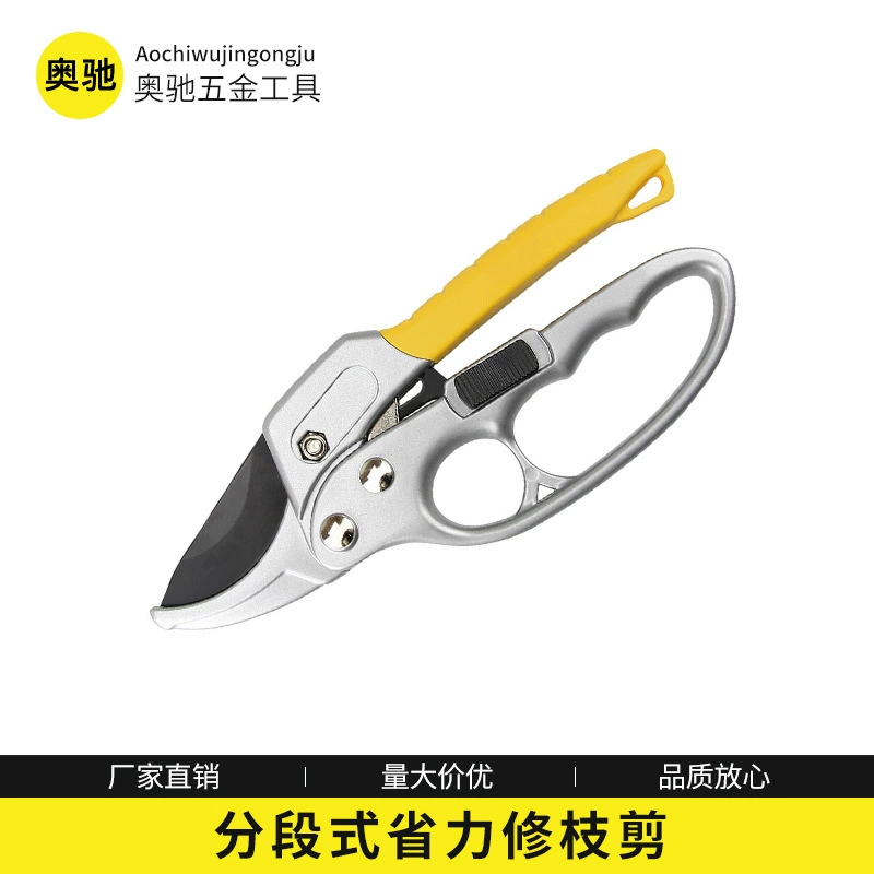 Садовые инструменты для обрезки Сегментированный шкив трудосберегающие ножницы SK-5 Садовые ножницы Обрезка фруктовых саженцев соскового типа Ножницы для дерева