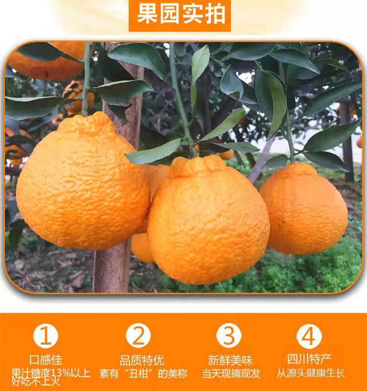 微信图片_20220107125710