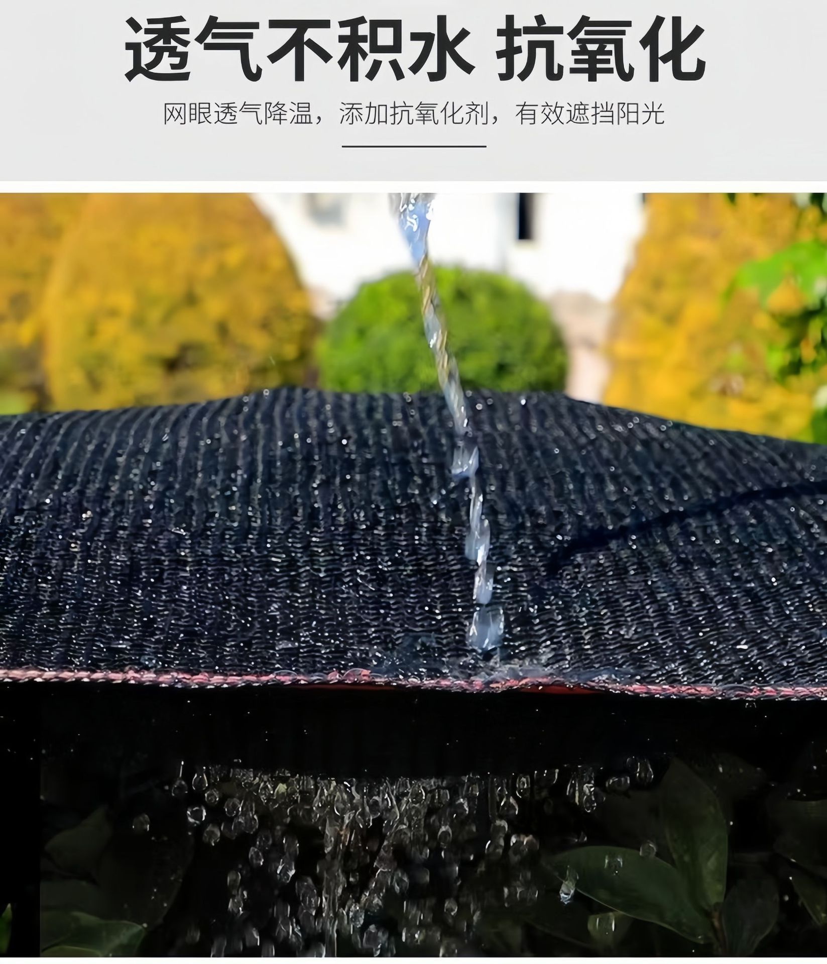 微信图片_20250204142601_副本