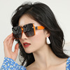 Polarising pony, glasses solar-powered, fashionable sunglasses, 2022 collection, wholesale