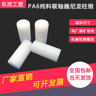 �S����ĥ�������N�S���������Npa66���Ԍ����о�A���N�ӻ����N