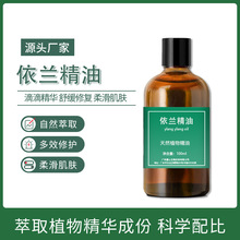 依兰油蒸馏提取单方精油化妆品香薰依兰依兰精油厂家批发