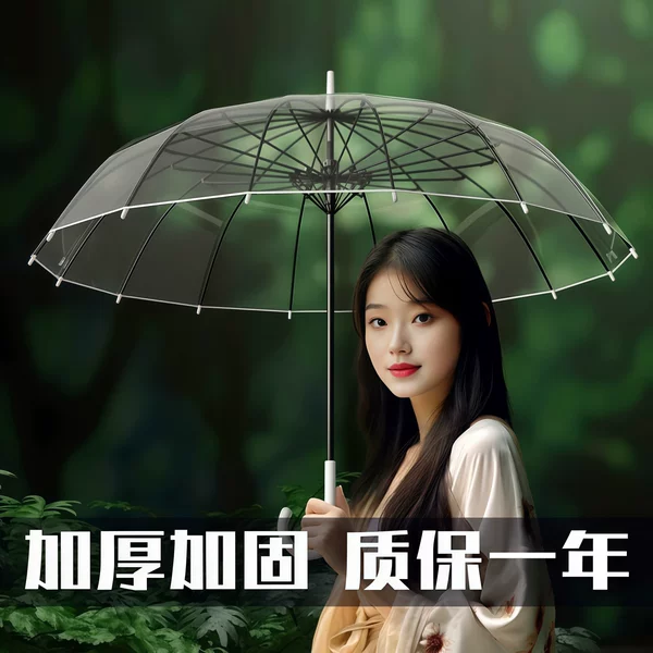 Transparent Umbrella Wholesale Outdoor Photography Tool Automatic Long-Handle Umbrella Large Size High Aesthetic Value White Internet Celebrity Custom Umbrella