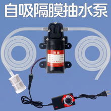 自吸泵抽水泵家用净水器加压增压泵净水机小型微型电动吸水隔膜泵
