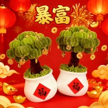 ��ƷŤŤ�������ֹ�������m���ԼҾӔ[�����滨���տ������Y��