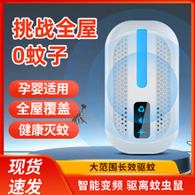 2025������������x������� �羳�����S�����l�����x��