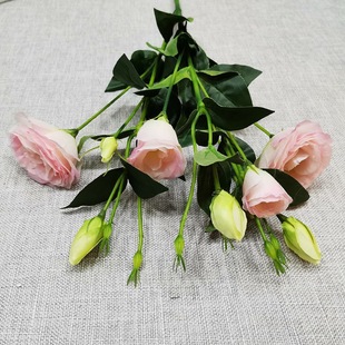 ���R�d؛Դ���^��۹����滨 �Ҿӻ�c�۹����컨�[�� �۹��ٻ�